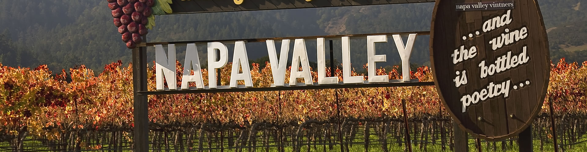 Welcome to Napa Valley